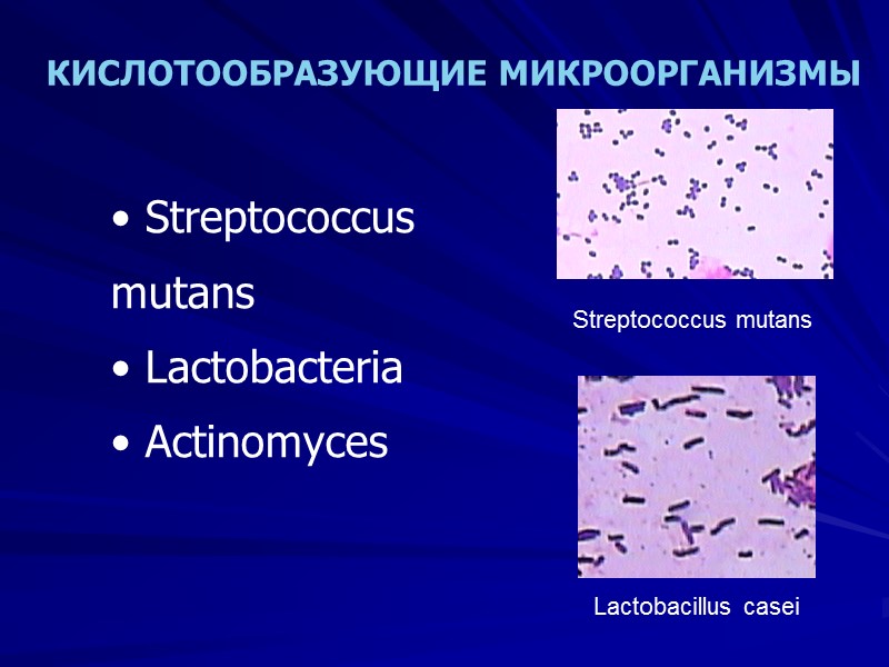 КИСЛОТООБРАЗУЮЩИЕ МИКРООРГАНИЗМЫ  Streptococcus mutans  Lactobacteria  Actinomyces  Streptococcus mutans Lactobacillus casei